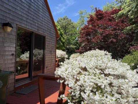 46 Harbor Avenue Falmouth MA 02540