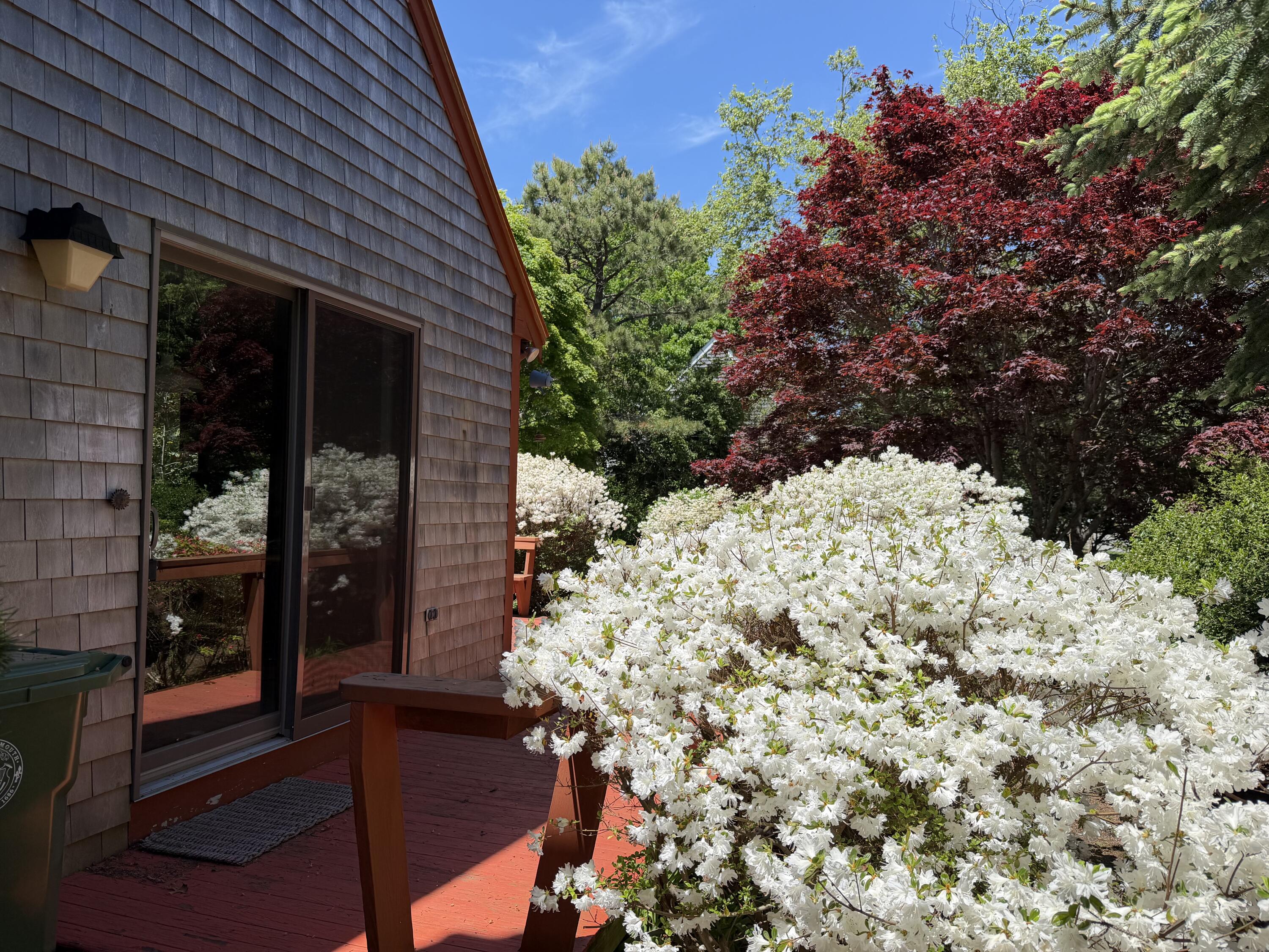 46 Harbor Avenue Falmouth MA 02540