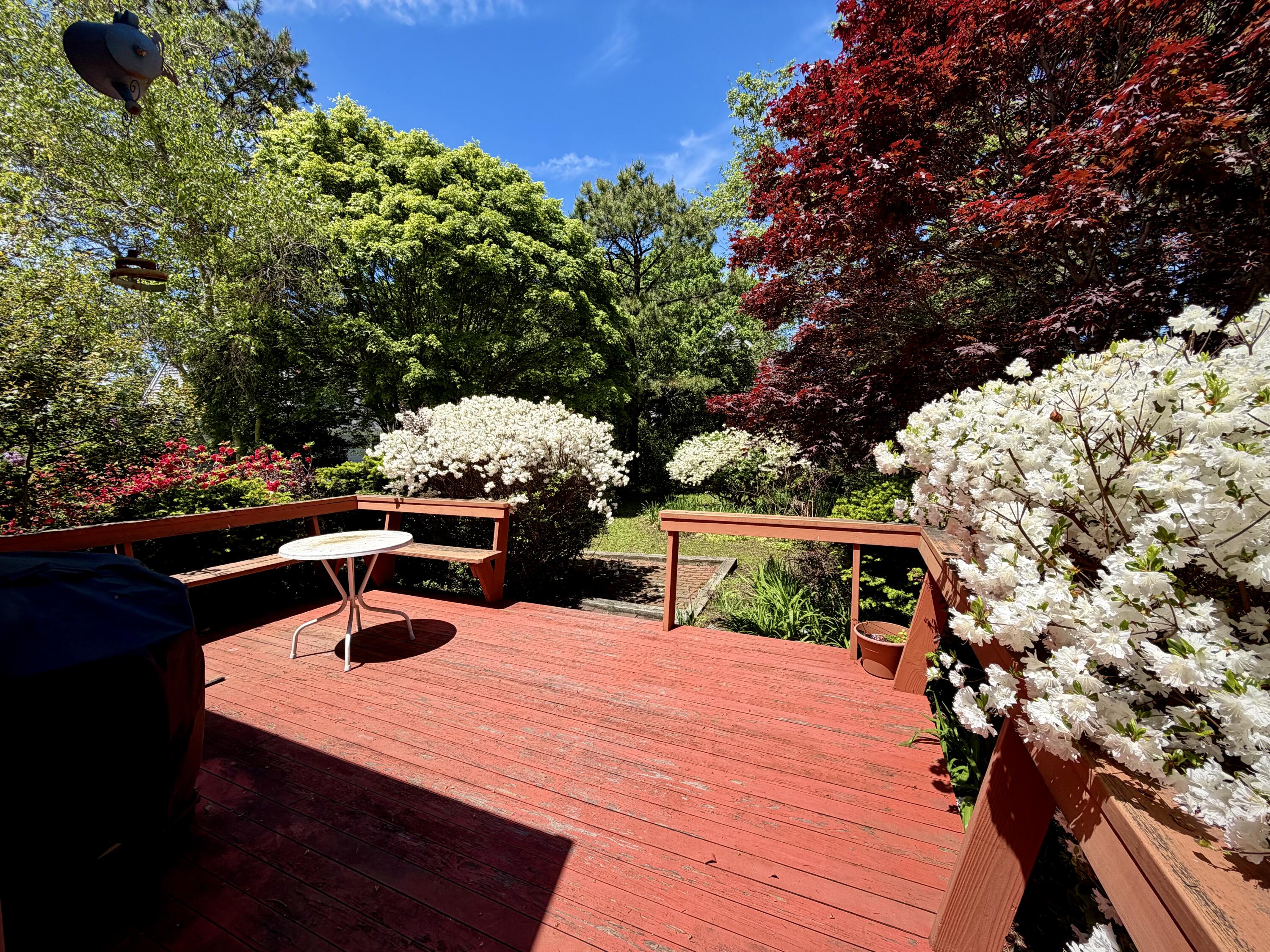 46 Harbor Avenue Falmouth MA 02540