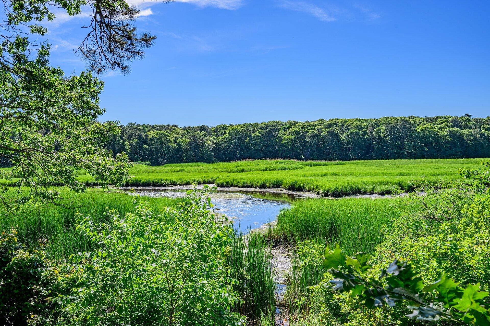239 Oxford Drive Cotuit MA 02635