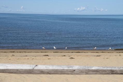 495 Aspinet Road Eastham MA 02642