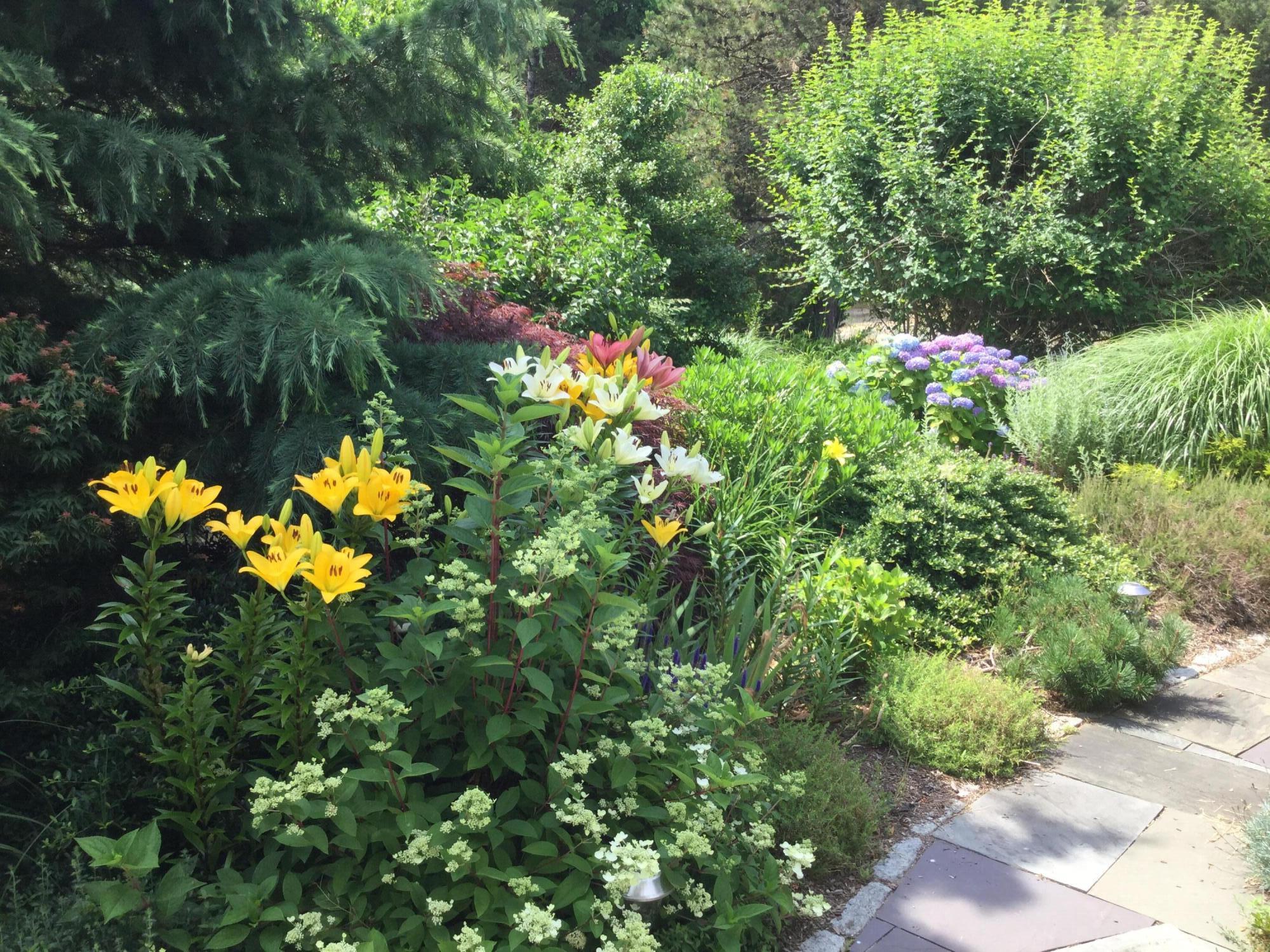 35 Sands Road Eastham MA 02642