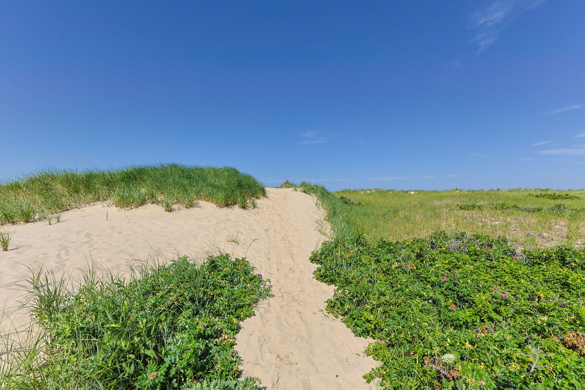 35 Sands Road Eastham MA 02642