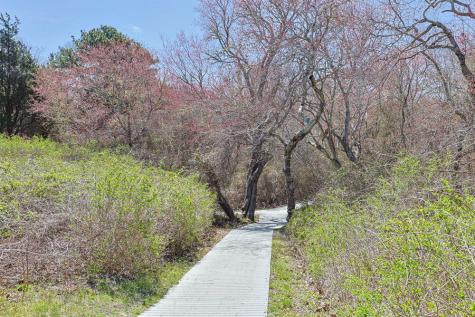 35 Sands Road Eastham MA 02642