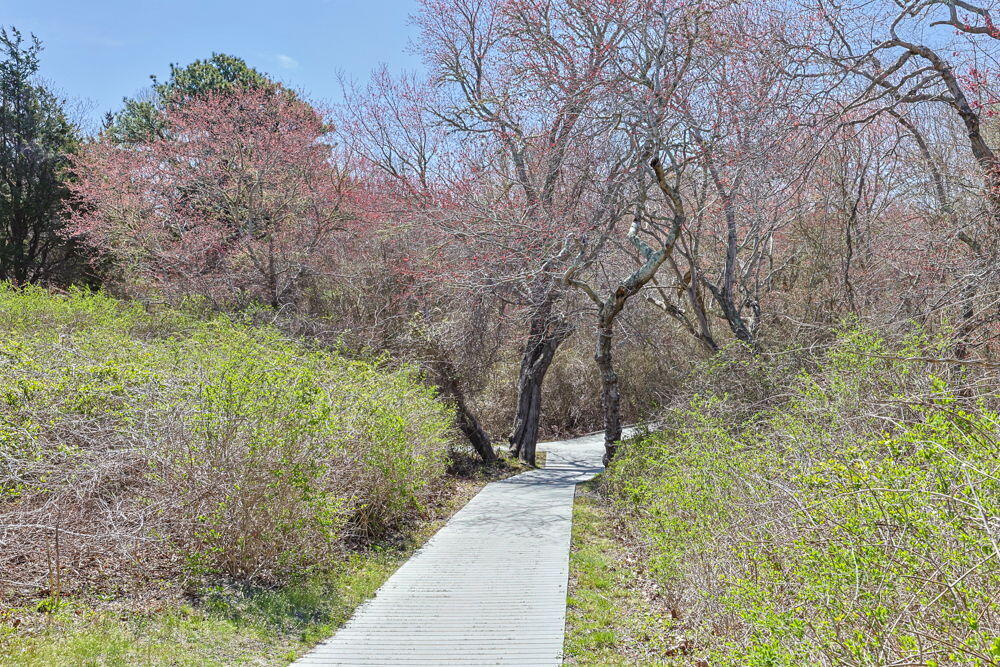 35 Sands Road Eastham MA 02642
