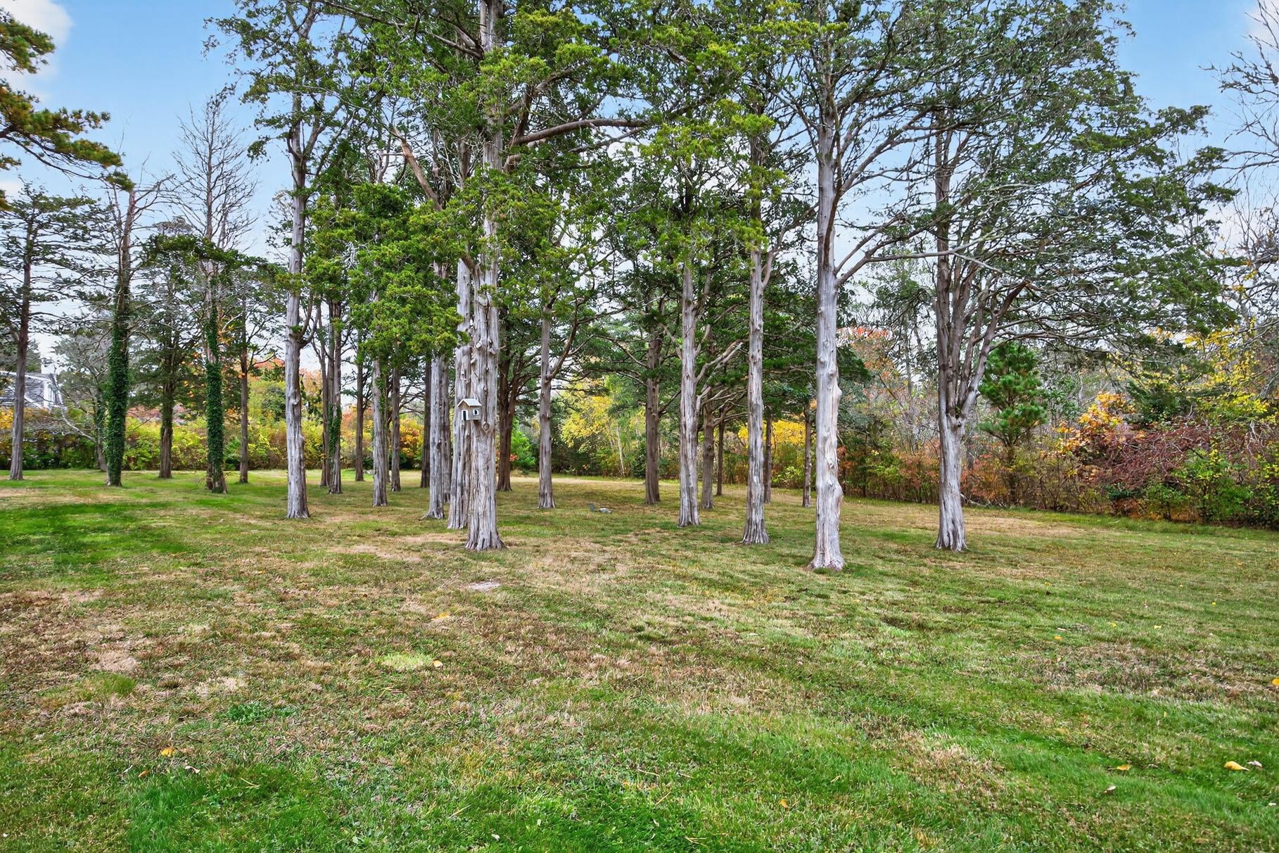 19-25 Whig Street Dennis MA 02638