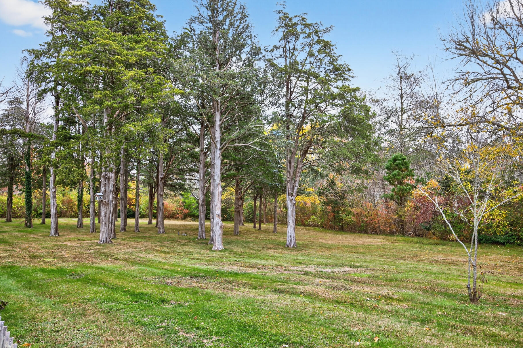 19-25 Whig Street Dennis MA 02638