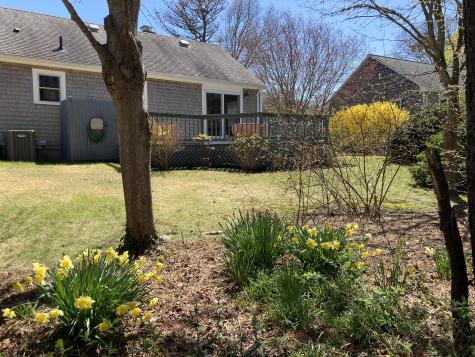 34 Cyprus Road Dennis MA 02660
