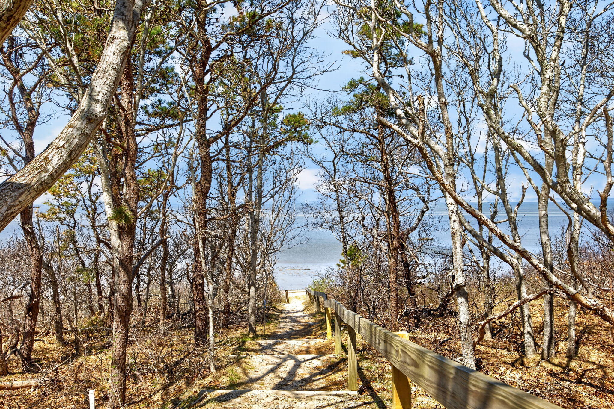 47 Flying Dragon Road Brewster MA 02631