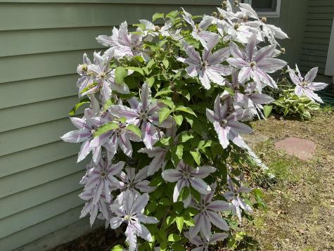434 W Yarmouth Road Yarmouth MA 02673