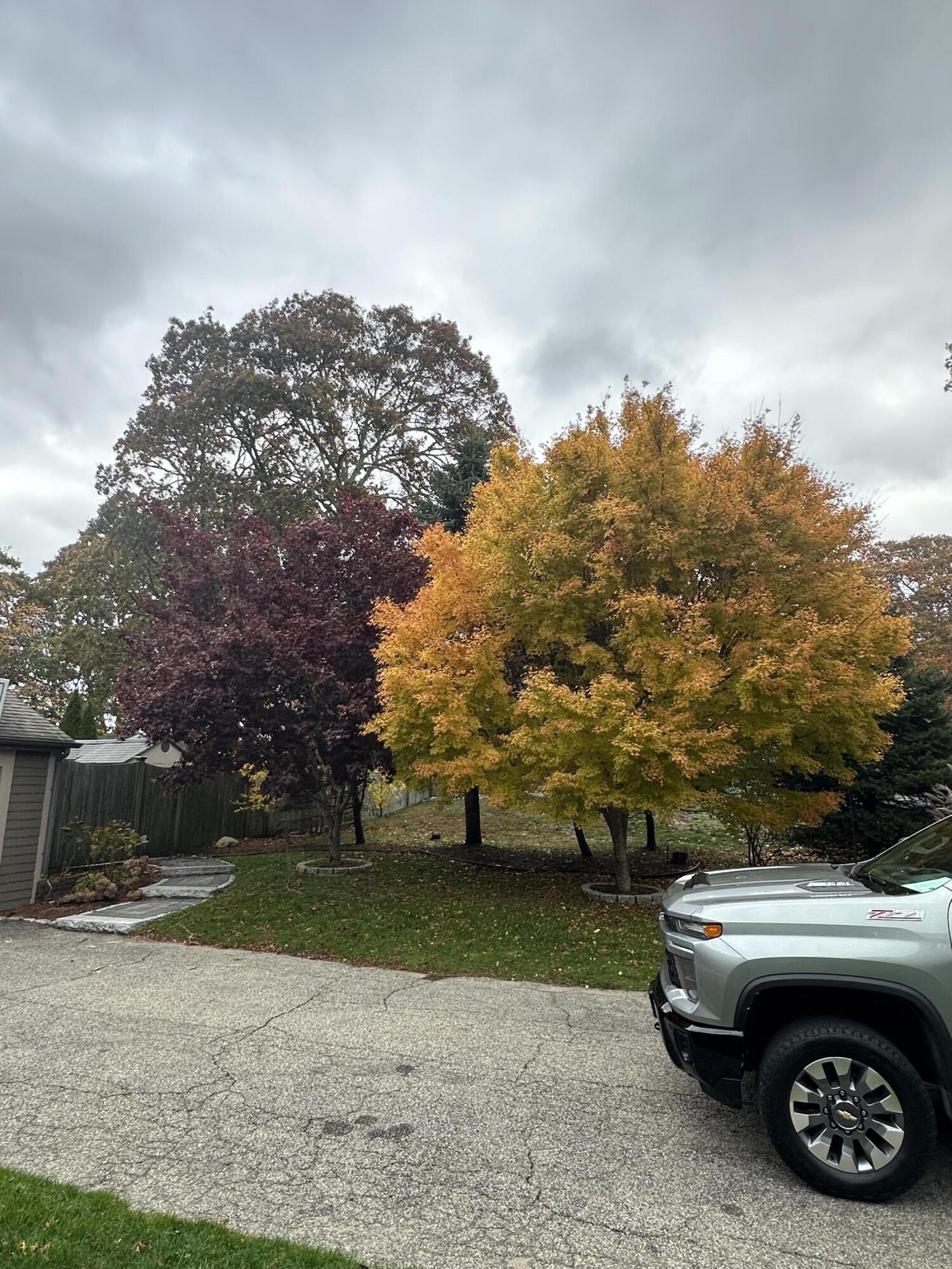118 Wayside Drive Brewster MA 02631