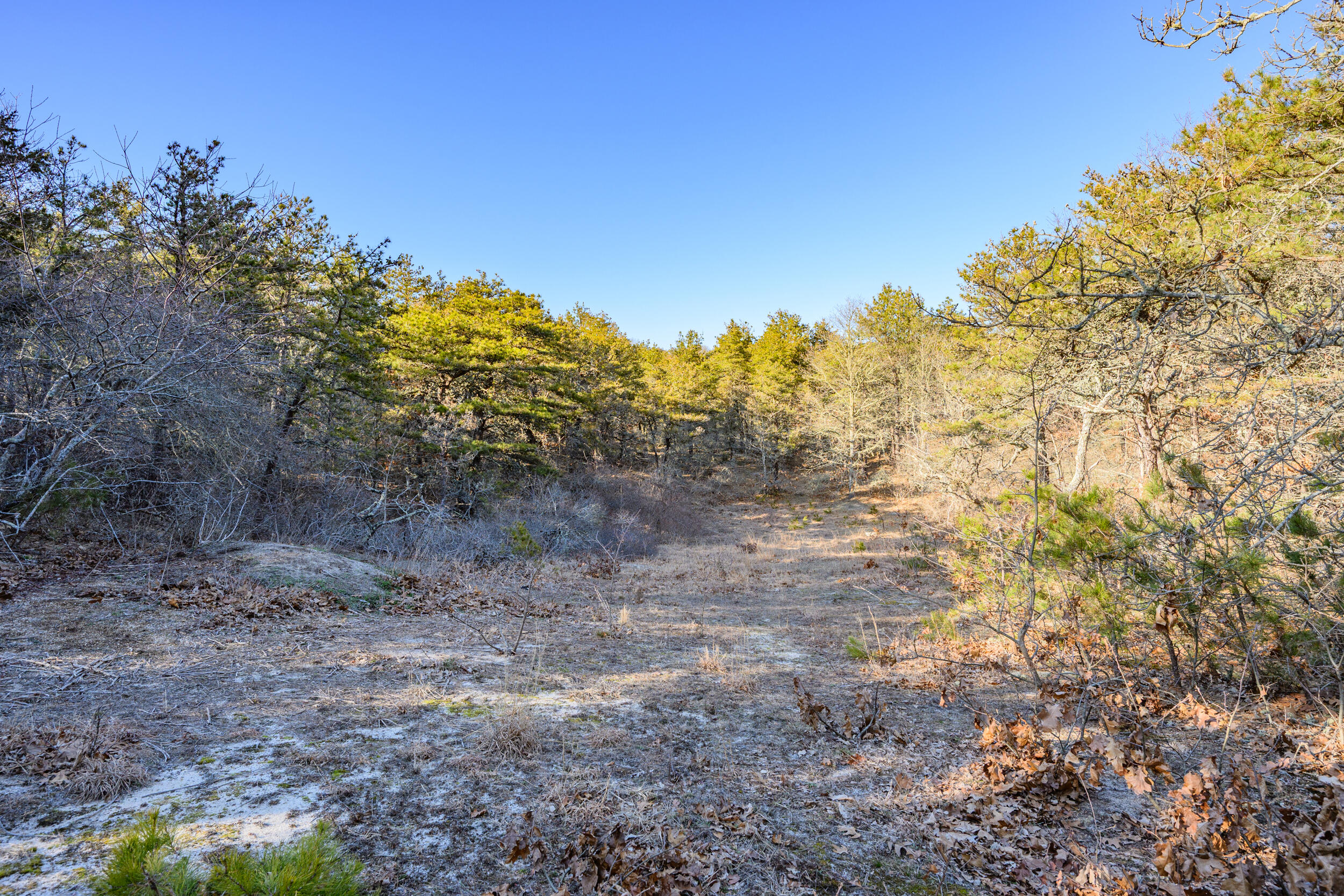 11/13 Whitmanville Road Truro MA 02666