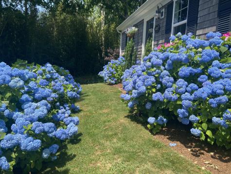 4332 Main Street Barnstable MA 02630