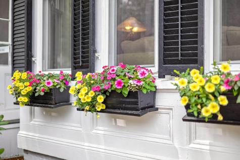 15 Vernon Street Plymouth MA 02360