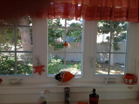234 Shad Hole Road Dennis Port MA 02639