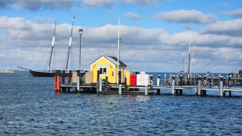 Tisbury MA 02568