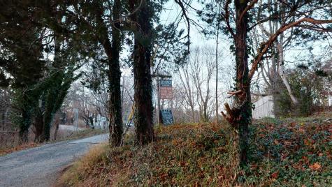 115 Main Street Wellfleet MA 02667