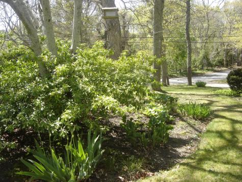 2 Zephyr Drive Yarmouth MA 02675