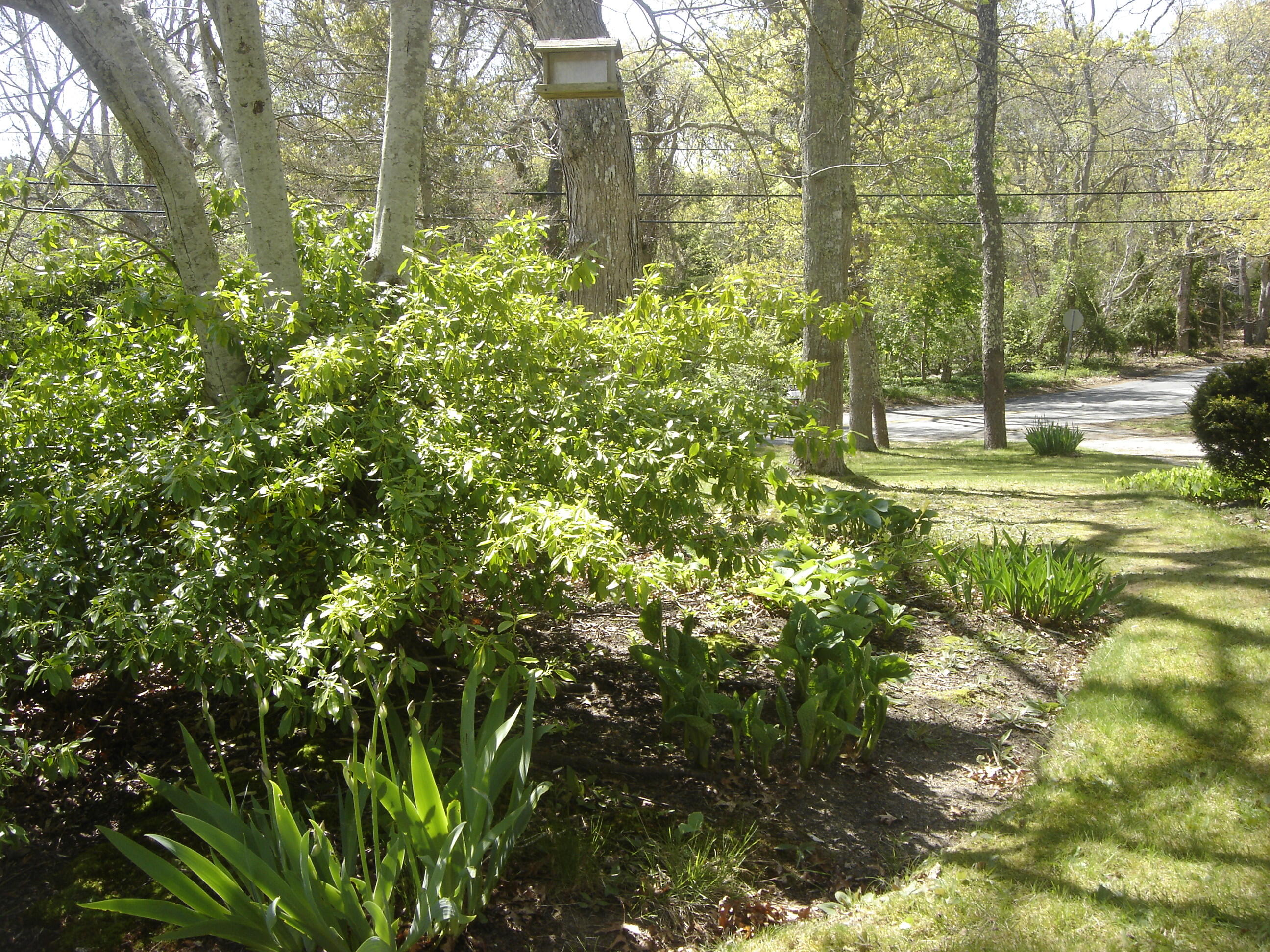2 Zephyr Drive Yarmouth MA 02675