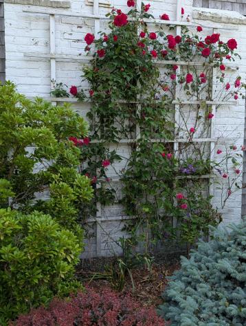 16 Old Salt Works Road Chatham MA 02633