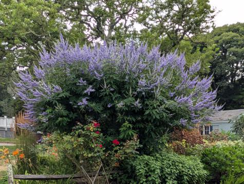 16 Old Salt Works Road Chatham MA 02633