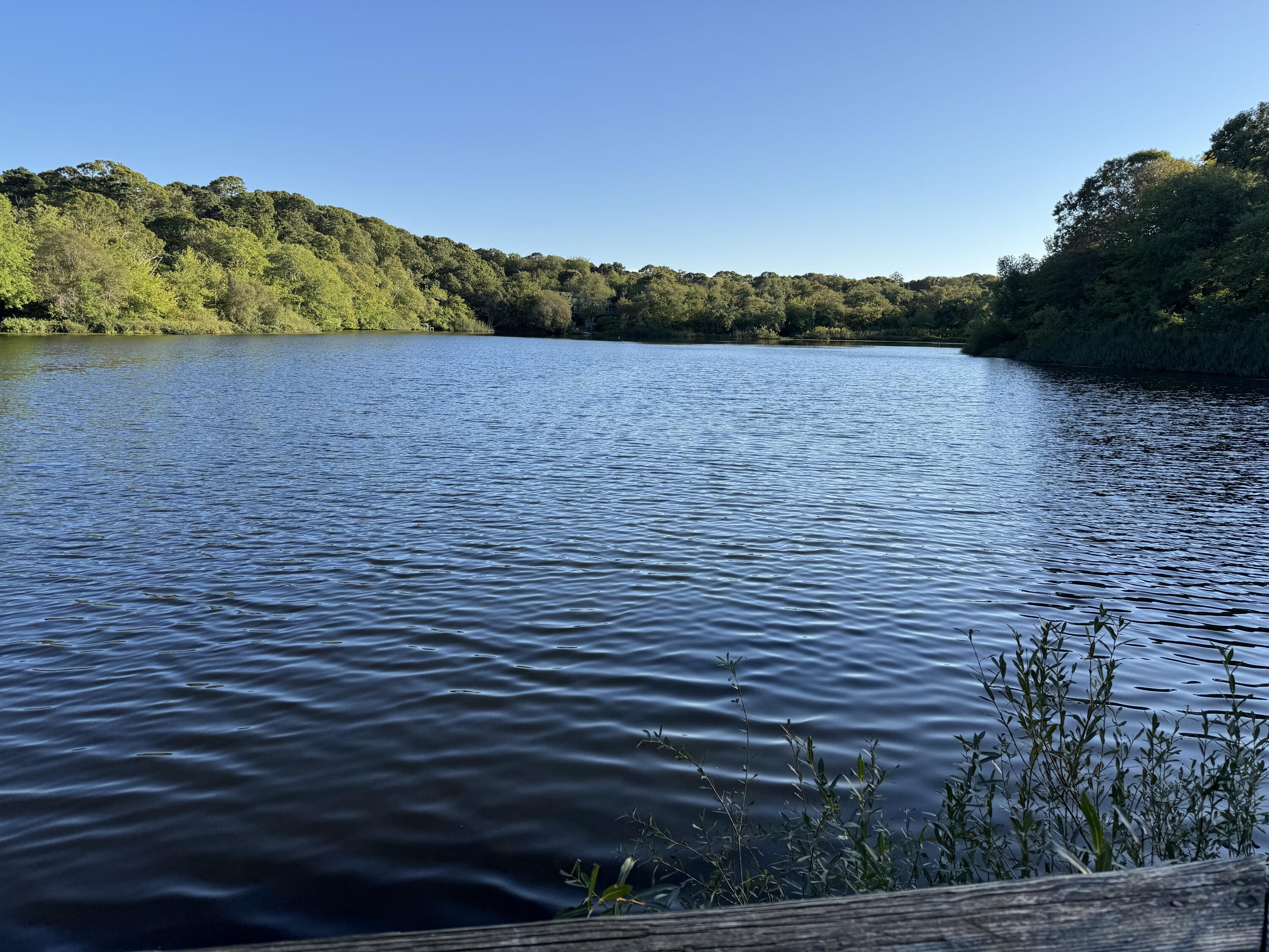 1580 Main Street Brewster MA 02631