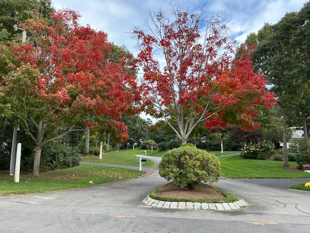 50 Acadia Drive Marstons Mills MA 02648