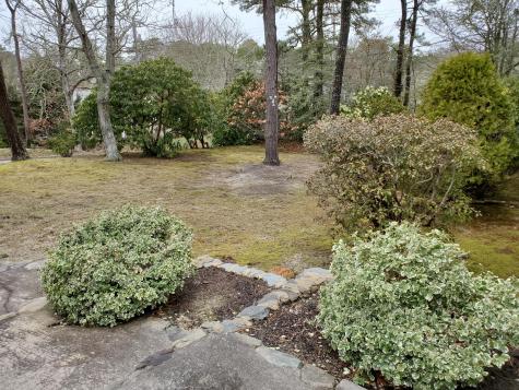 1 Sterling Road South Harwich MA 02661