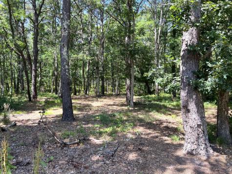 591 Old Bass River Road Dennis MA 02638