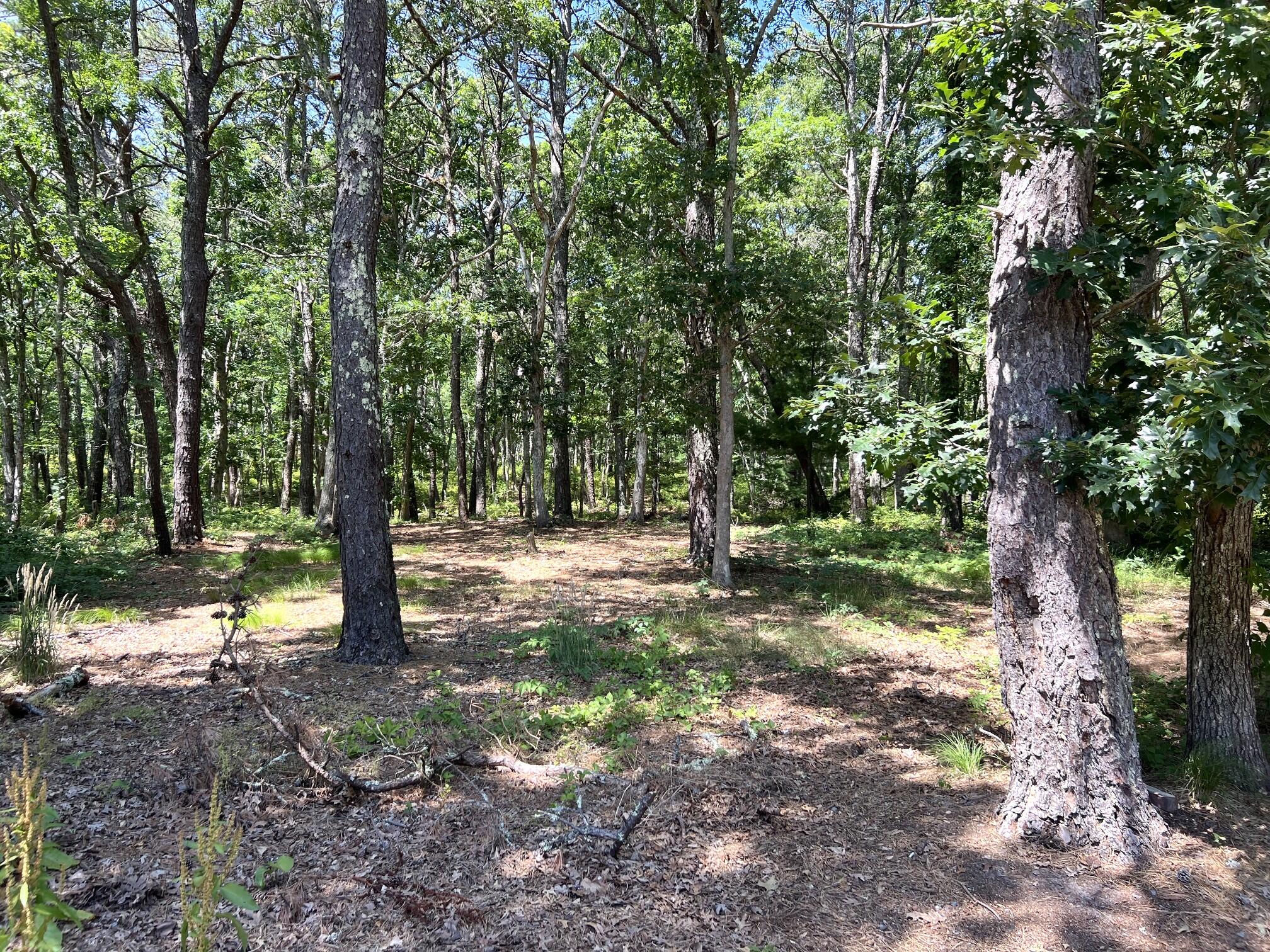 591 Old Bass River Road Dennis MA 02638