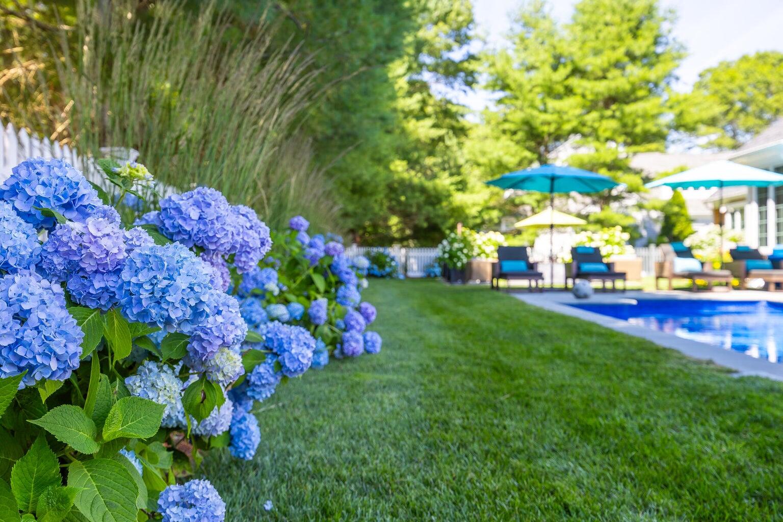 3 Ground Cover Lane Sandwich MA 02563