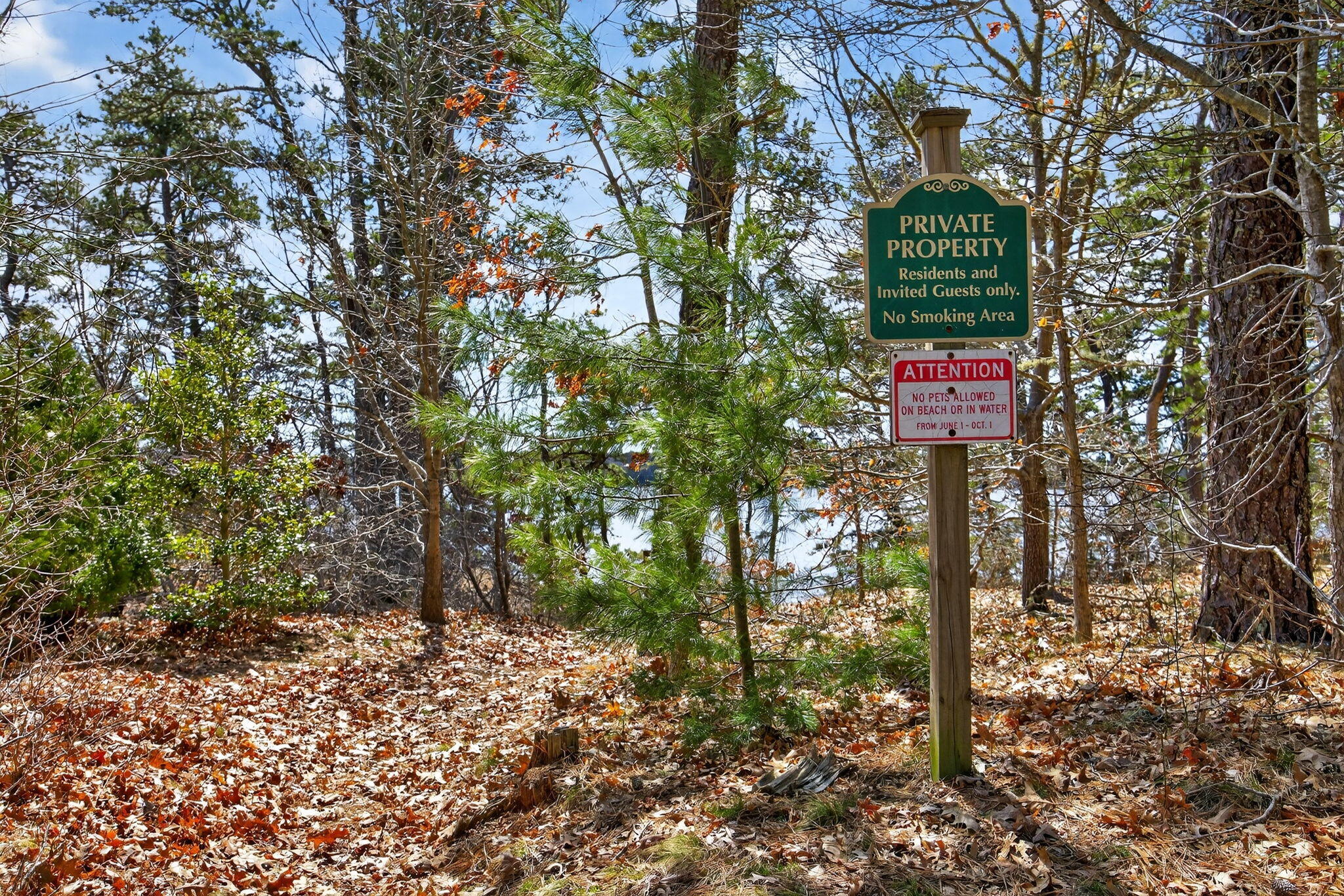 186 Canoe Pond Drive Brewster MA 02631