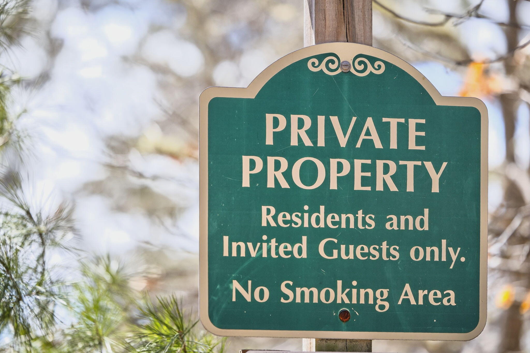 186 Canoe Pond Drive Brewster MA 02631