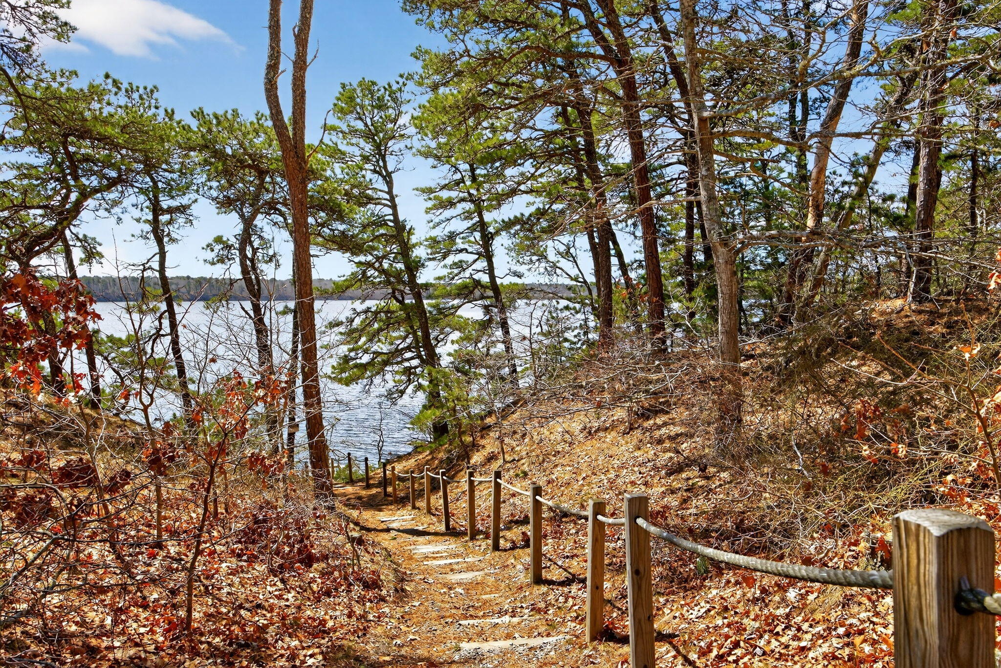 186 Canoe Pond Drive Brewster MA 02631