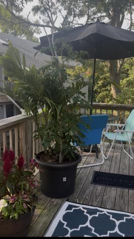 35 Ashumet Road Mashpee MA 02649