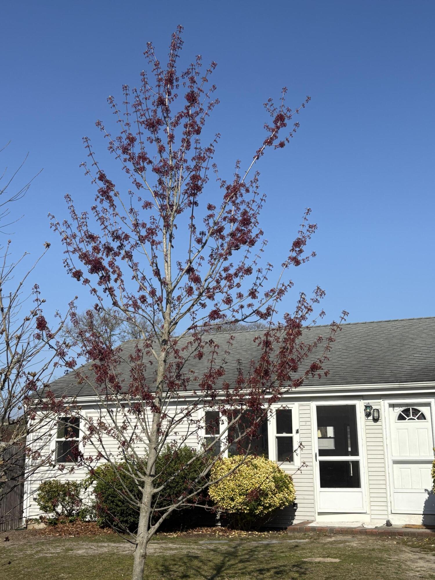 4 Summer Street Dennis MA 02639