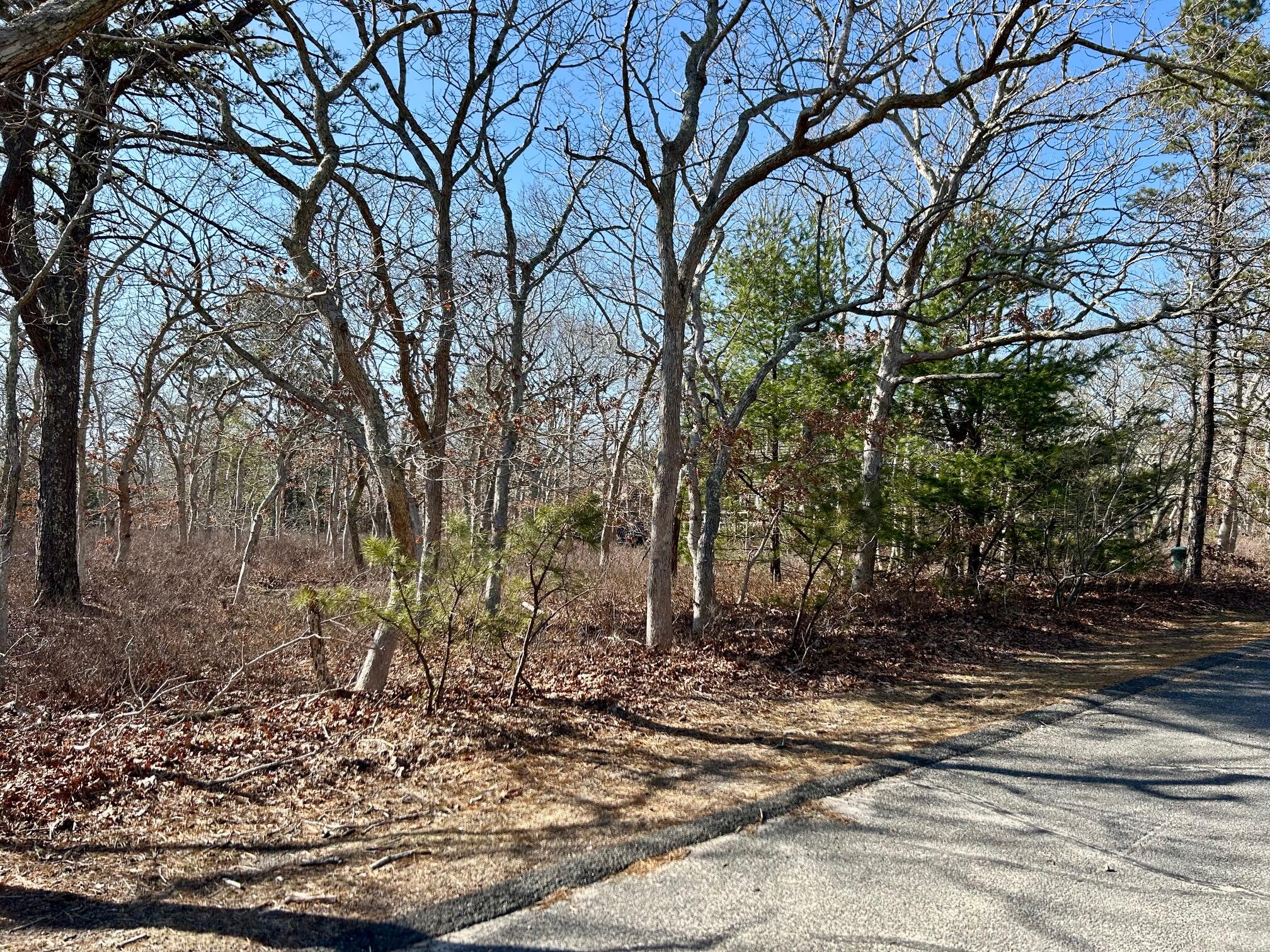 72 Windsor Drive Edgartown MA 02539