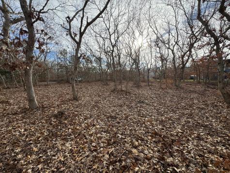 36 Boylston Drive Edgartown MA 02539