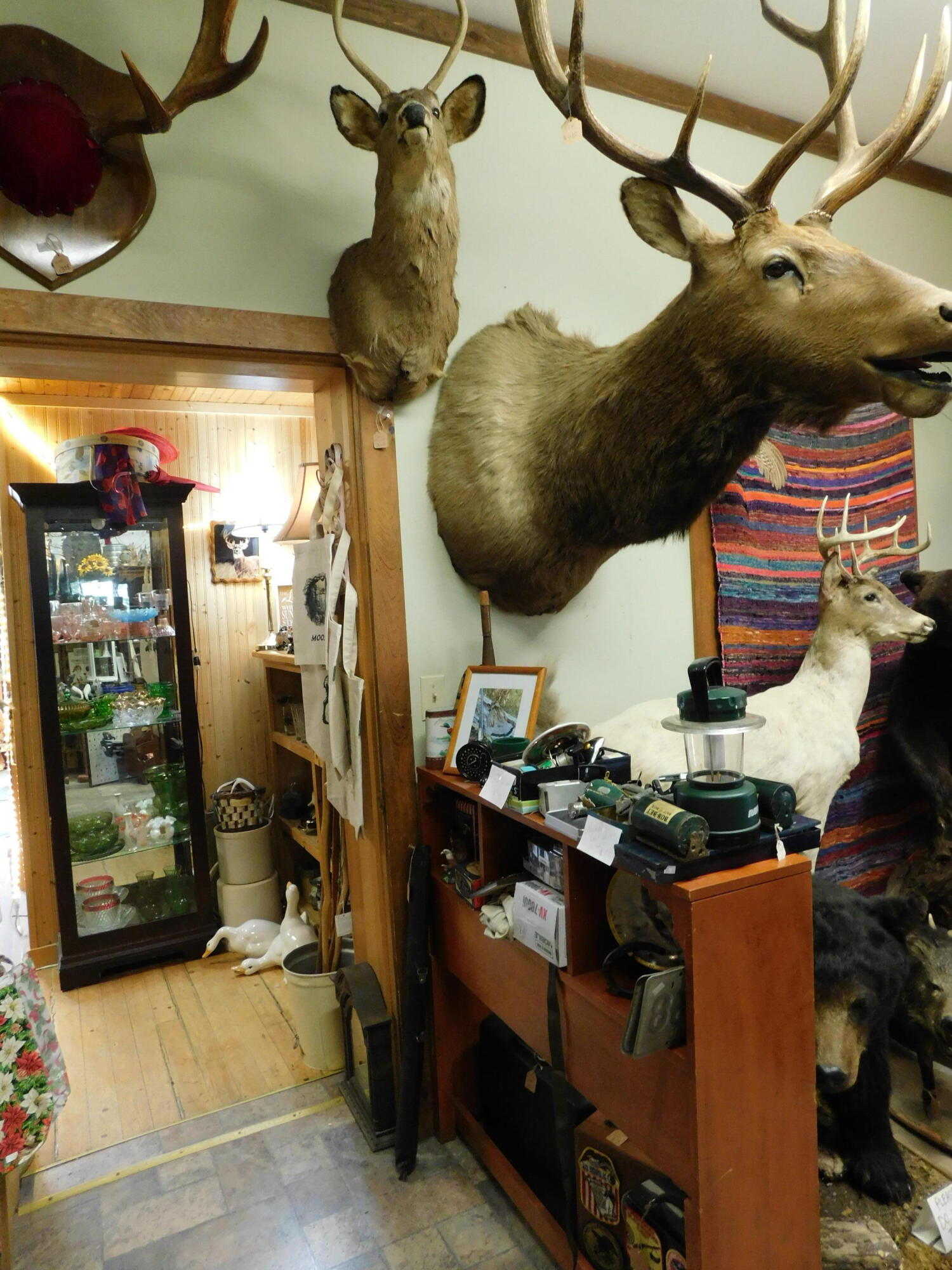 15 Moosehead Lake Road Greenville ME 04441