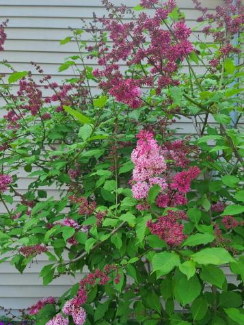 399 Wilton Road Farmington ME 04938