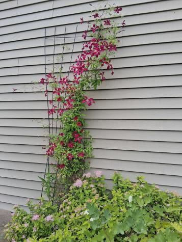 399 Wilton Road Farmington ME 04938