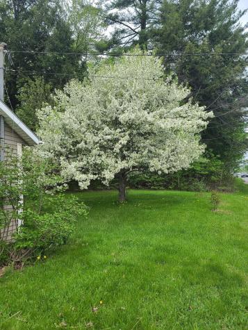 399 Wilton Road Farmington ME 04938