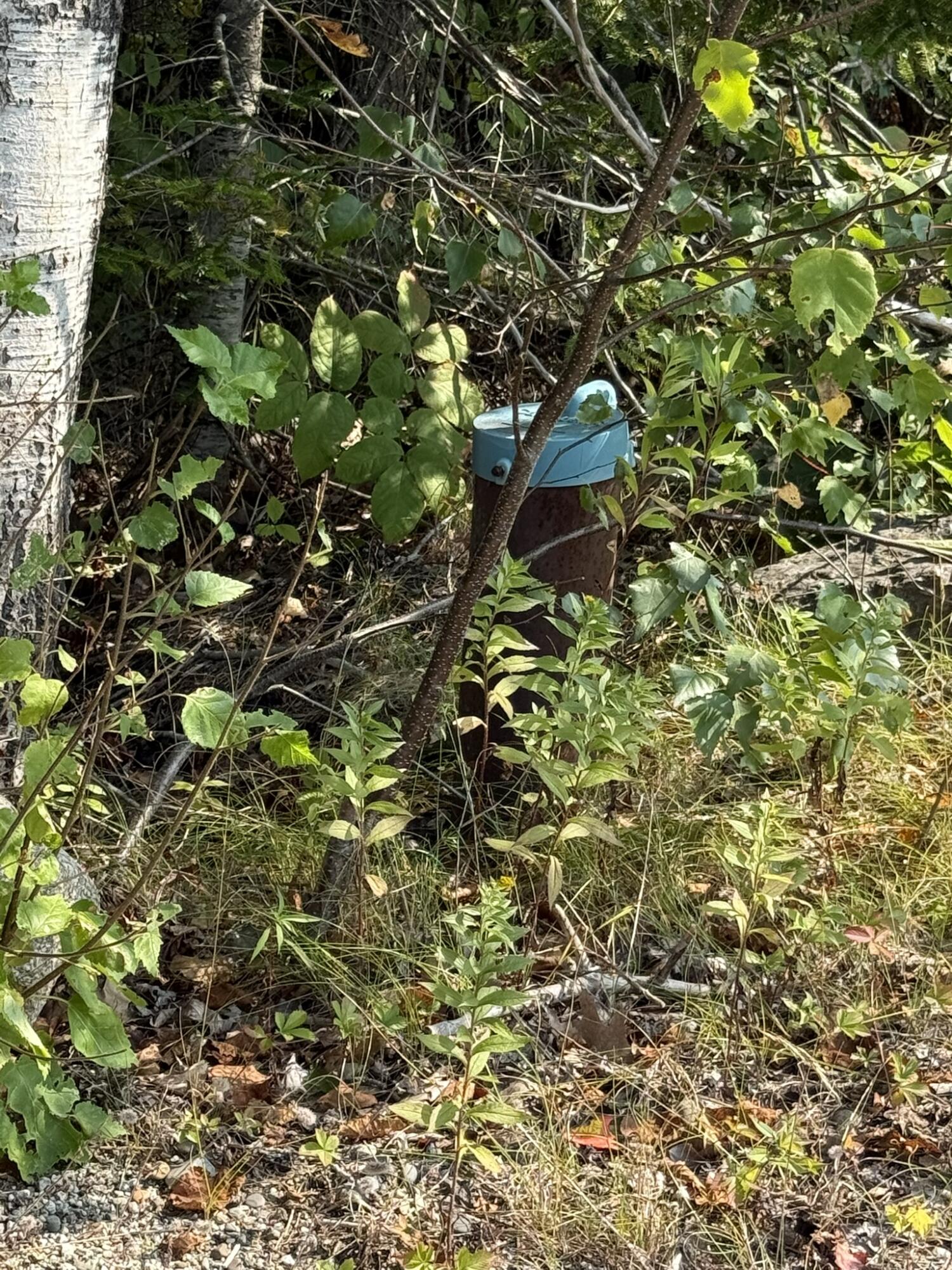 248 Bucksport Road Ellsworth ME 04605