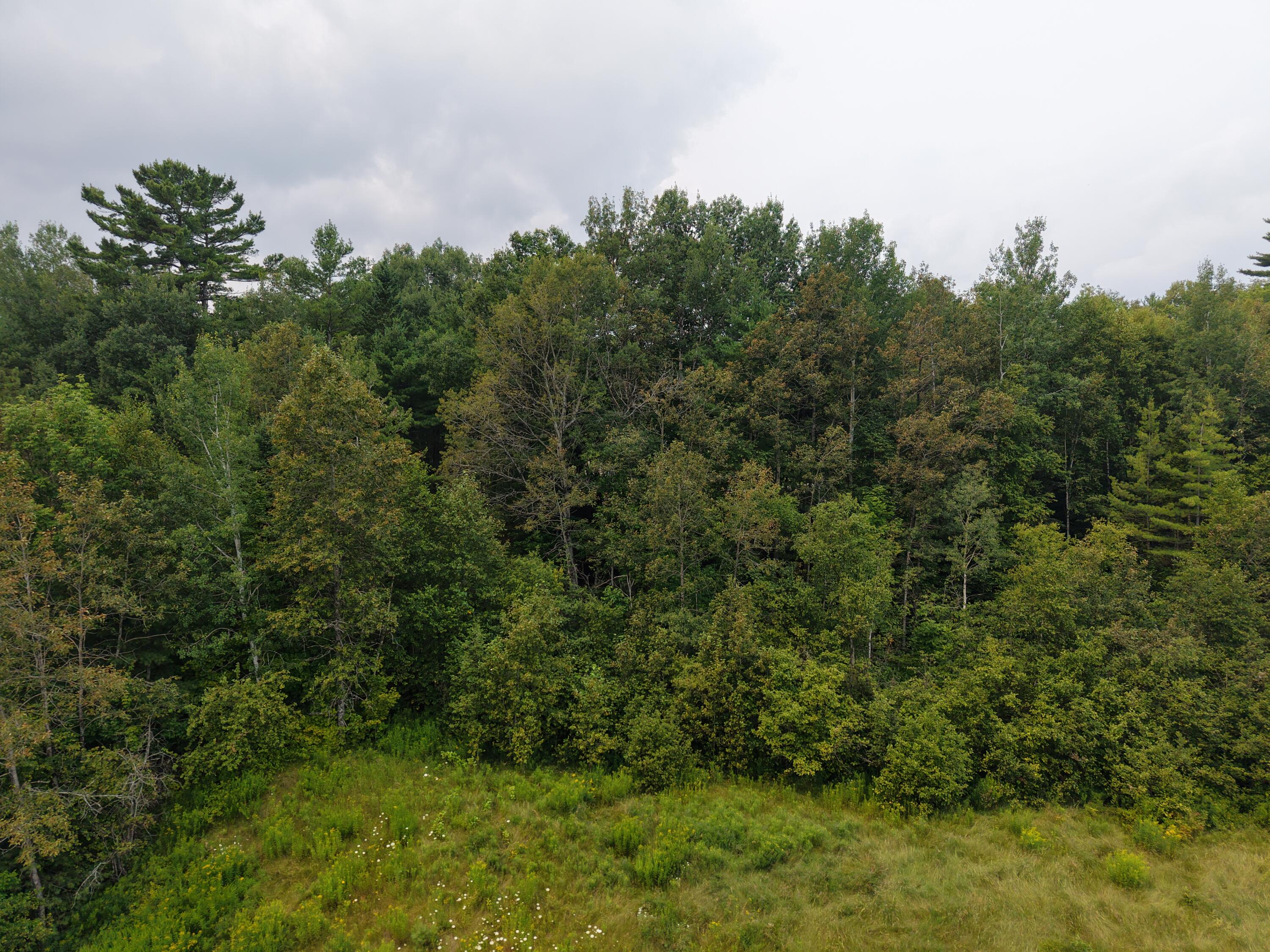 Mpi8 L4-1.15 Industrial Park Road Greenville ME 04441