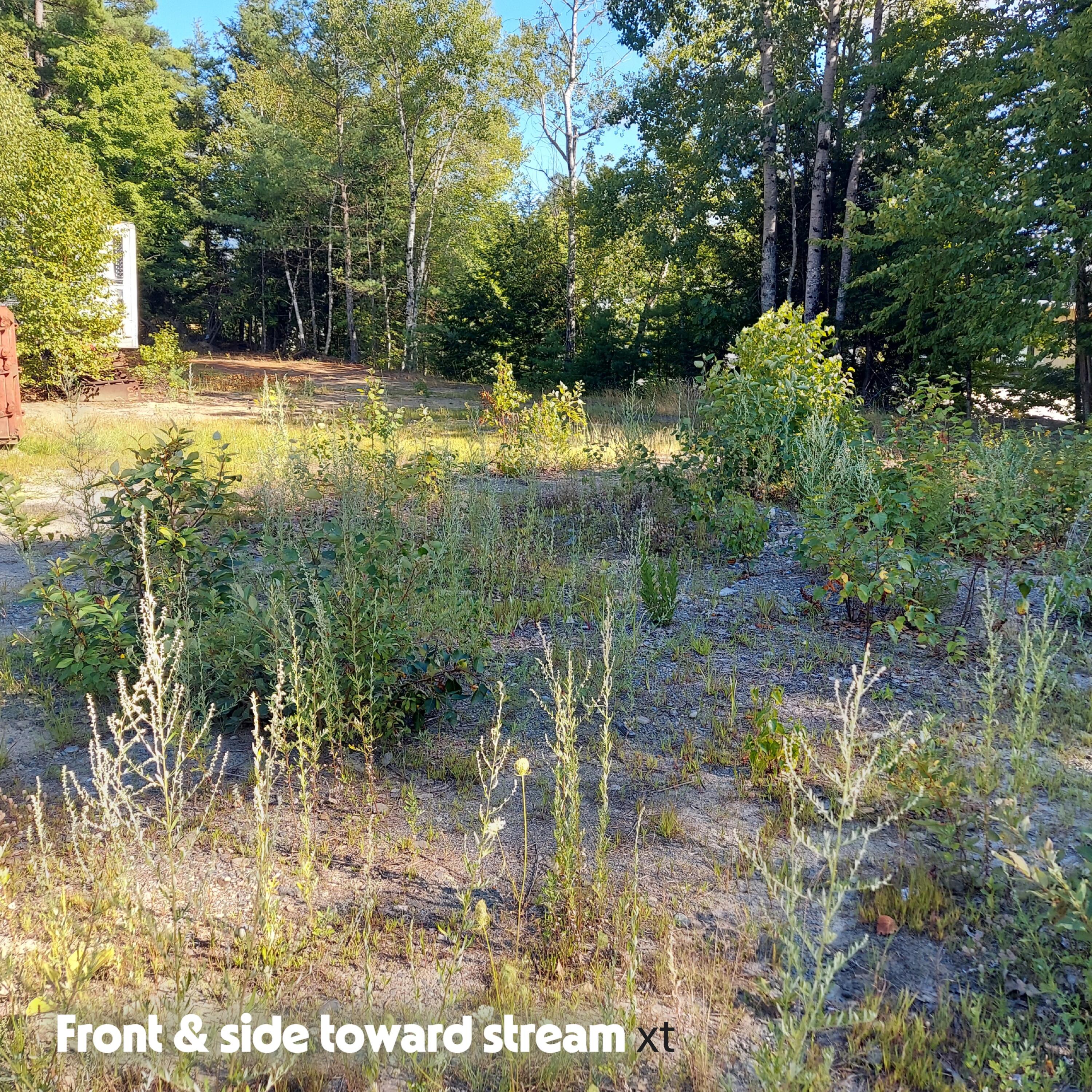 64 Davis Court Wilton ME 04294