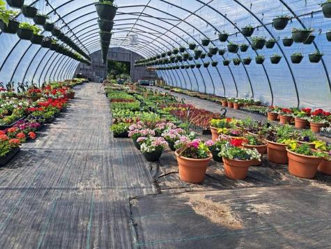 634 Bar Harbor Road Trenton ME 04605