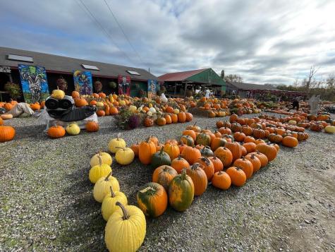 634 Bar Harbor Road Trenton ME 04605