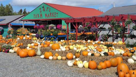 634 Bar Harbor Road Trenton ME 04605