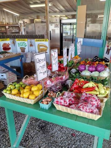 634 Bar Harbor Road Trenton ME 04605