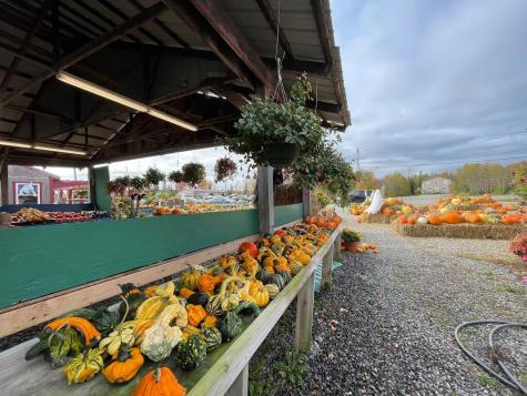 634 Bar Harbor Road Trenton ME 04605